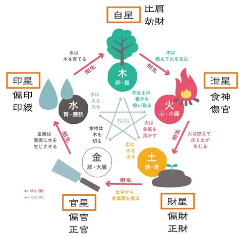 偏財正財|【正財・偏財】が四柱推命の命式にある人の特徴｜通 